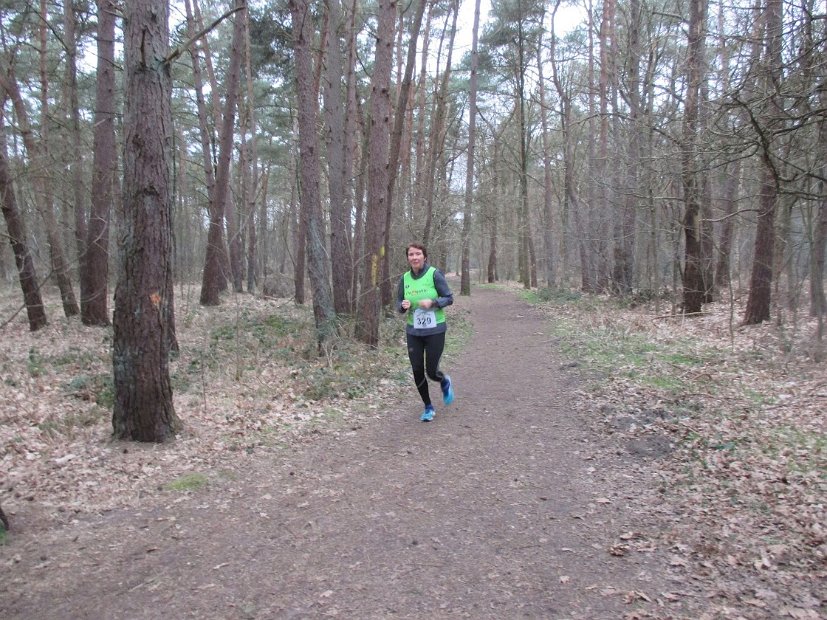 Bosloop Brecht - 15